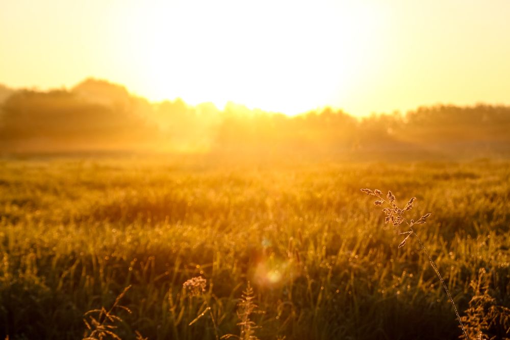 Photograph by Илья Воякин