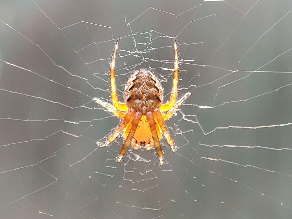 Photograph by Илья Воякин