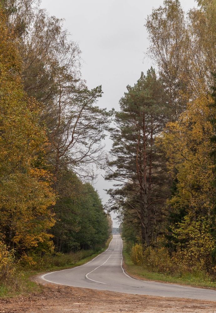 Photograph by Кира Орлова