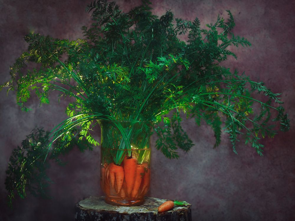 Photograph by Marina Ivanova