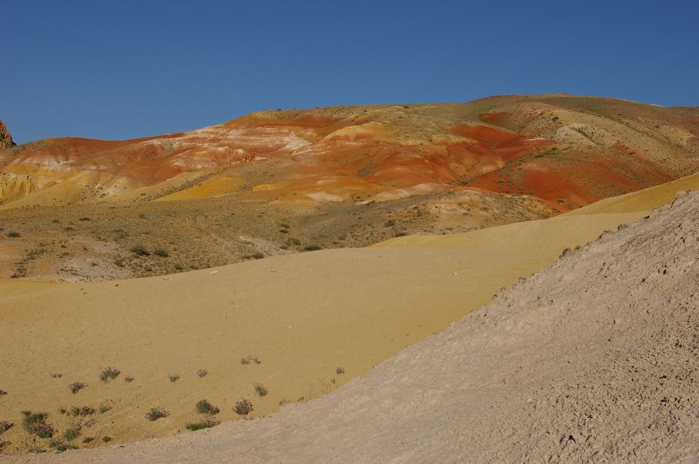 Photograph by Елена Алешкевич