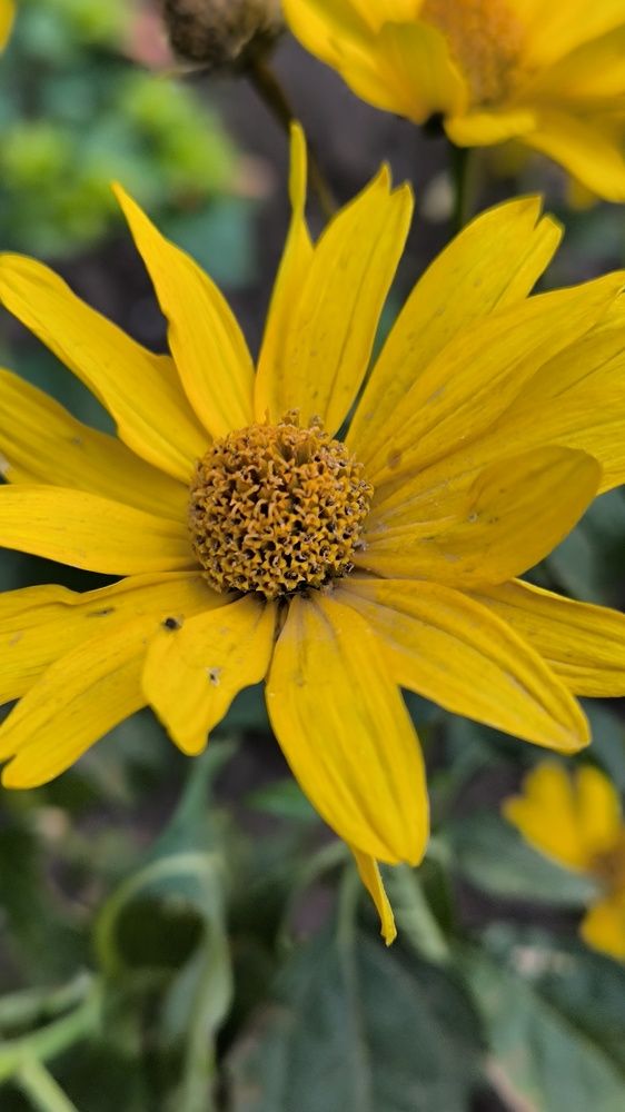 Photograph by Светлана Войта