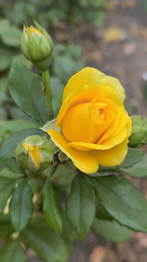 Photograph by Светлана Войта