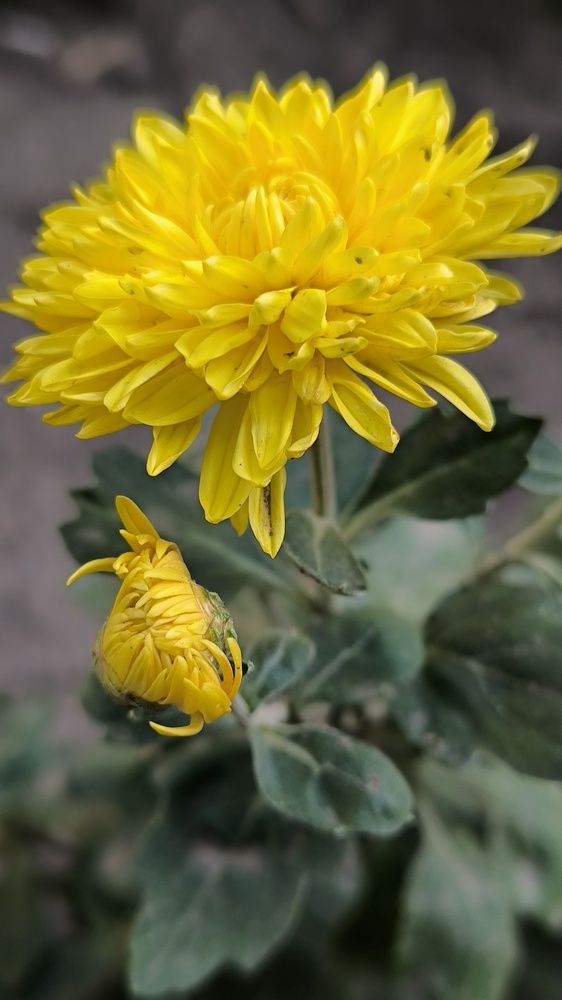 Photograph by Светлана Войта