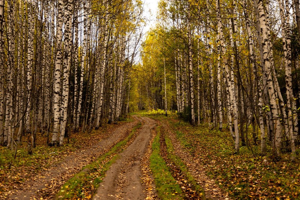 Photograph by Елена Титенская