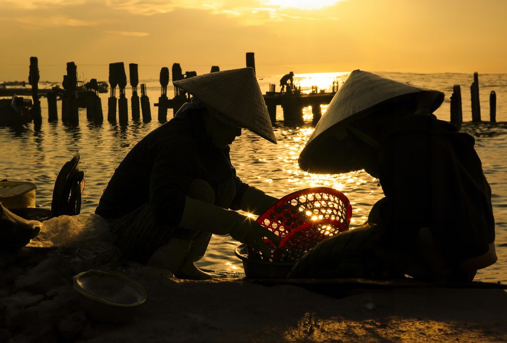 Photograph by Tran Khoa