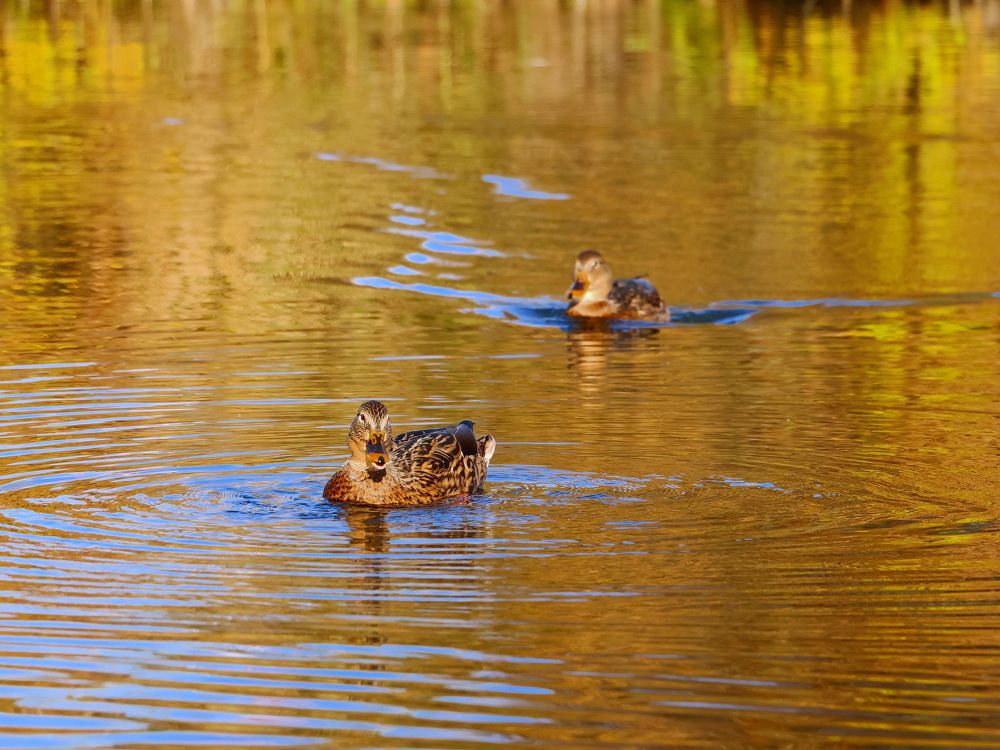 Photograph by Серёга Ануфриев