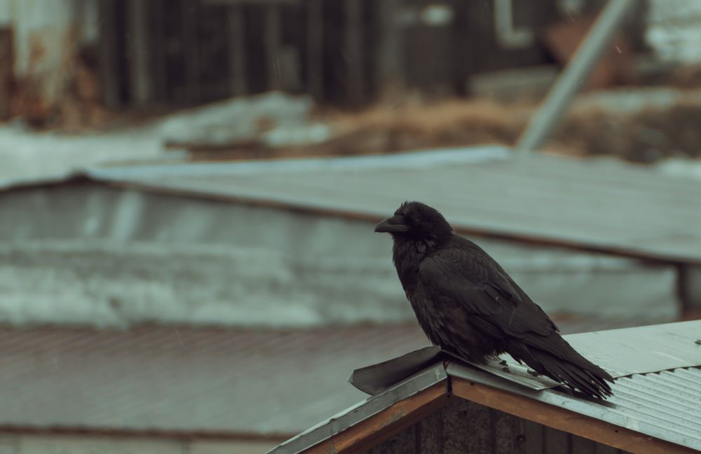 Photograph by Александр Фанталов