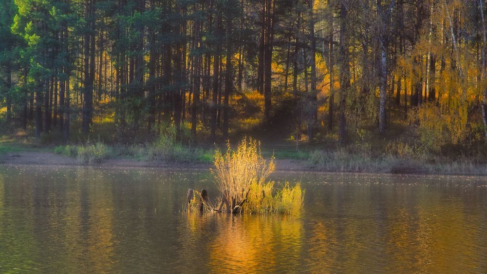 Photograph by Стас Неклюдов