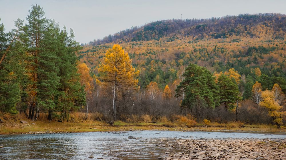 Photograph by Стас Неклюдов
