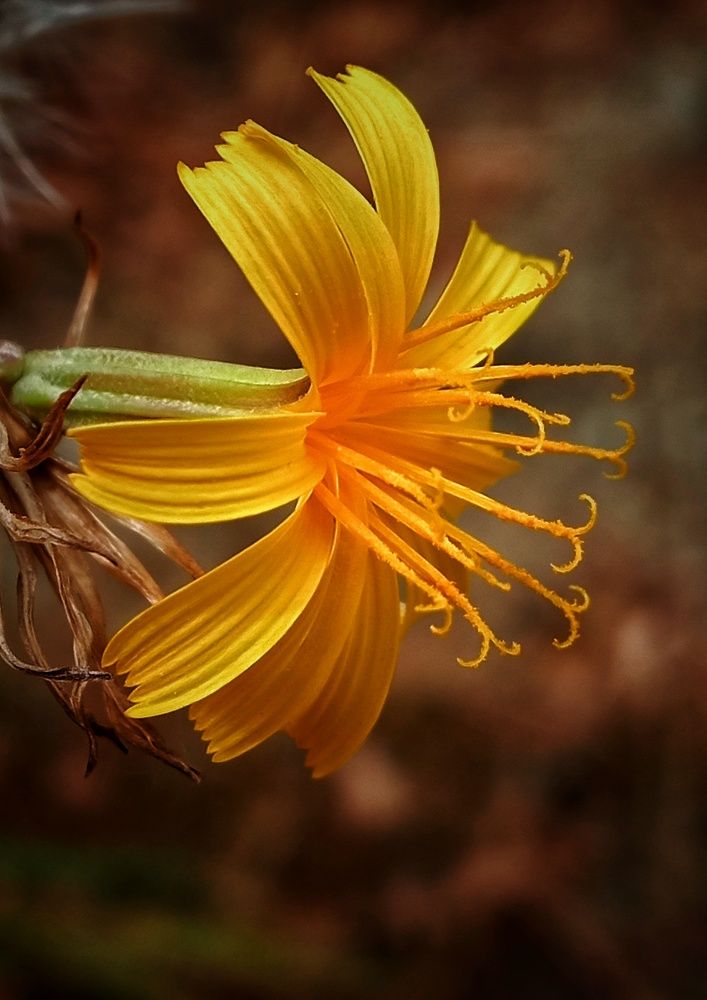 Фотография автора Mahdi Mohammadi