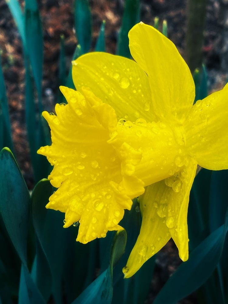 Photograph by Ольга Скиба