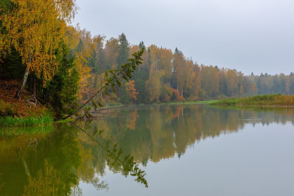 Photograph by Владимир Парсяк