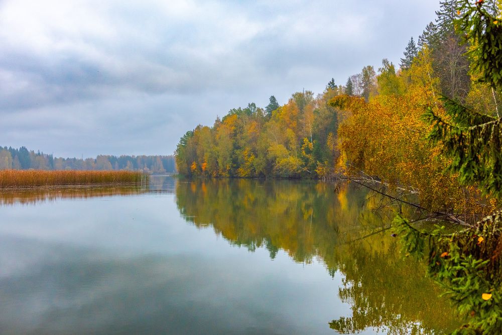 Photograph by Владимир Парсяк