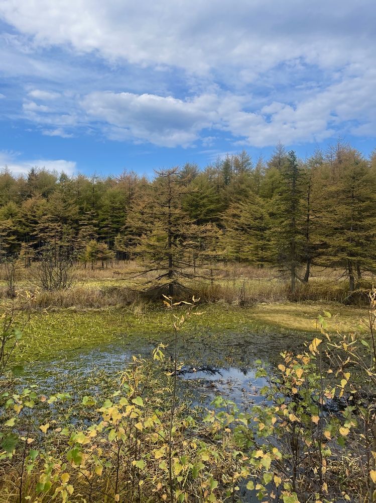 Фотография автора Елена Меньшикова