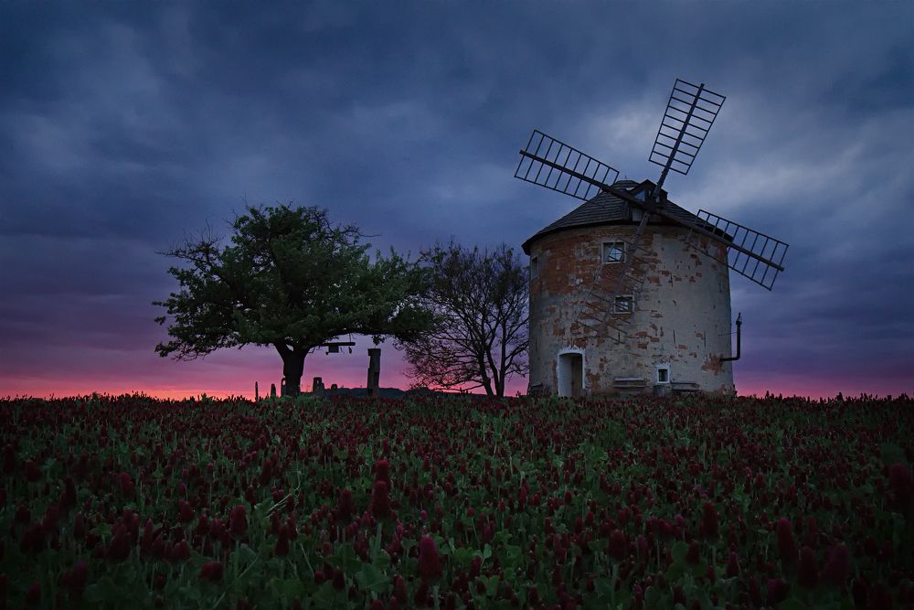 Photograph by Шимаковский Юрий