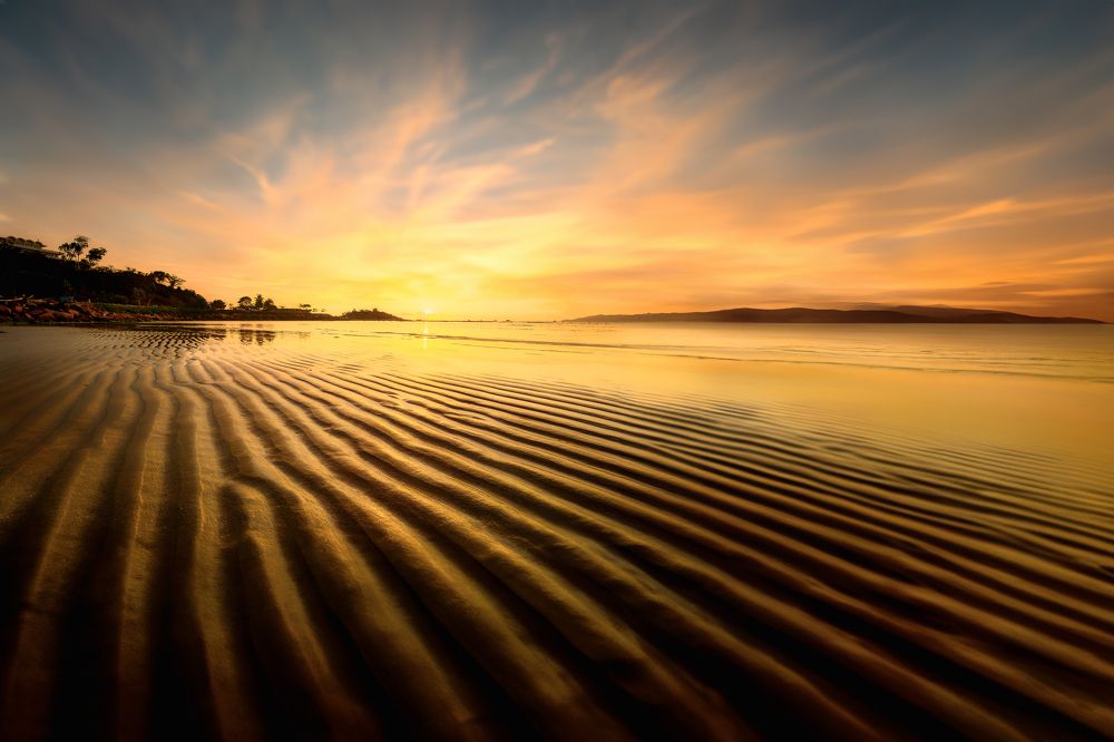 Photograph by Tran Khoa