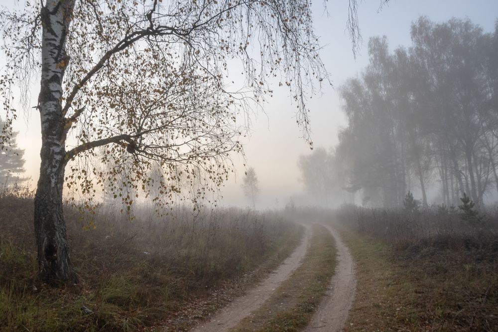 Photograph by Татьяна Романова