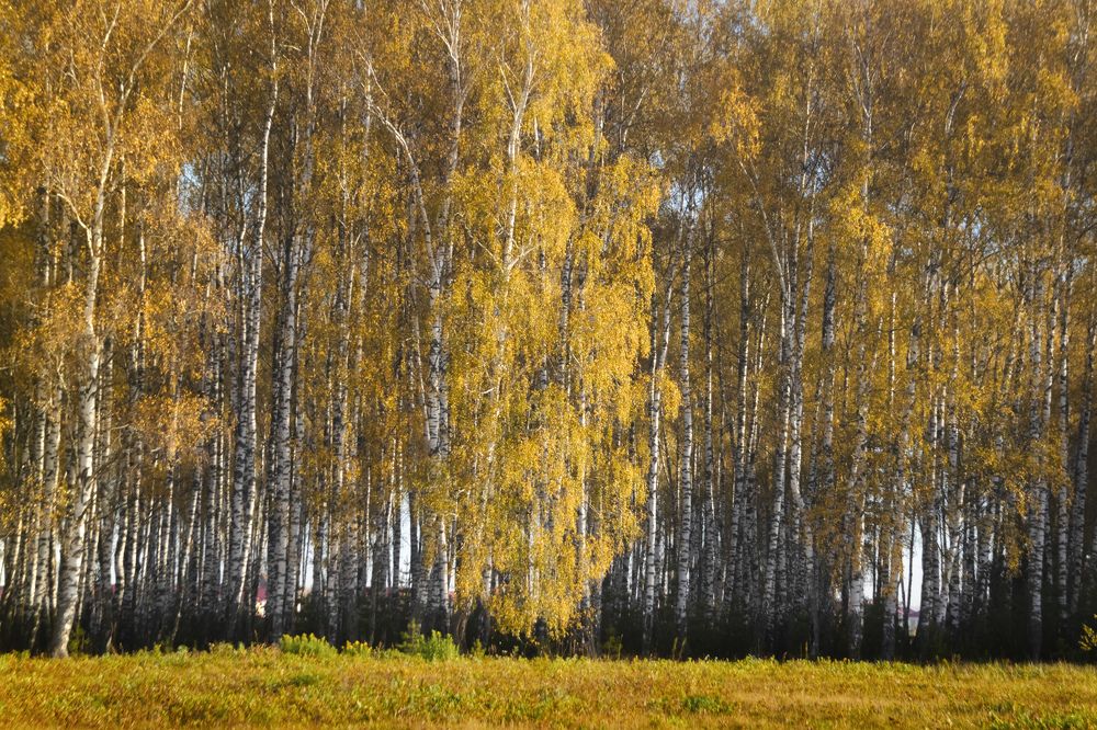 Photograph by Татьяна Романова