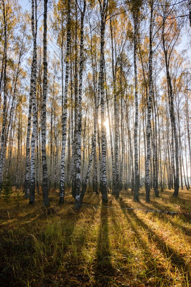 Photograph by Татьяна Романова