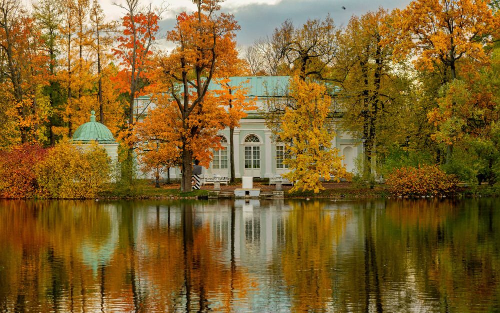 Фотография автора Ольга Егунова