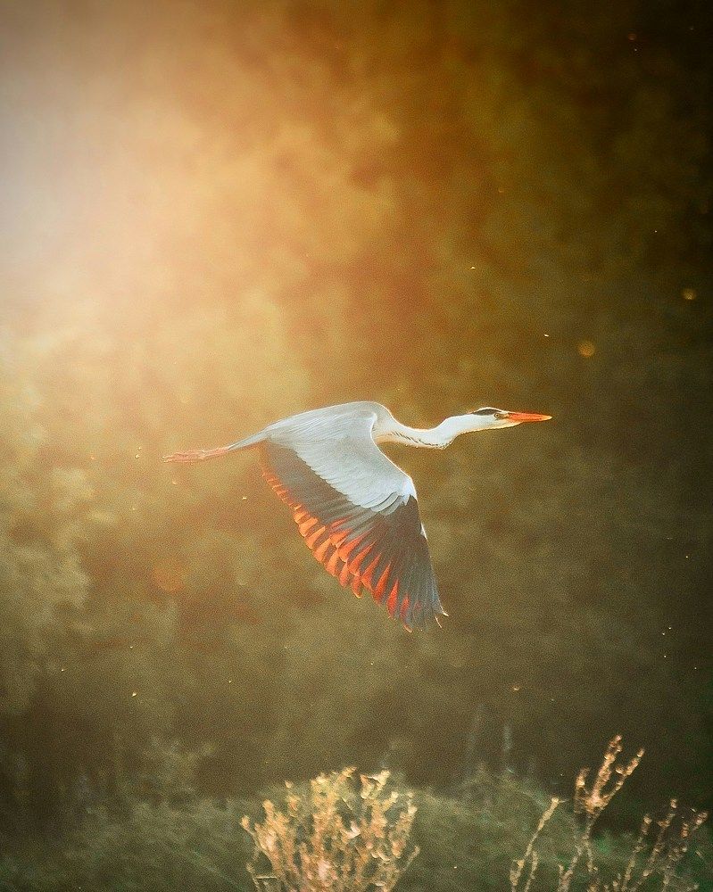 Photograph by Силантьев Даниил