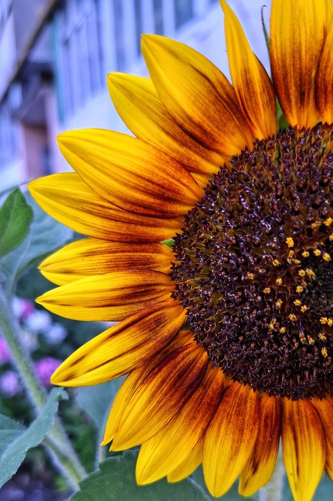 Photograph by Мария Андреева