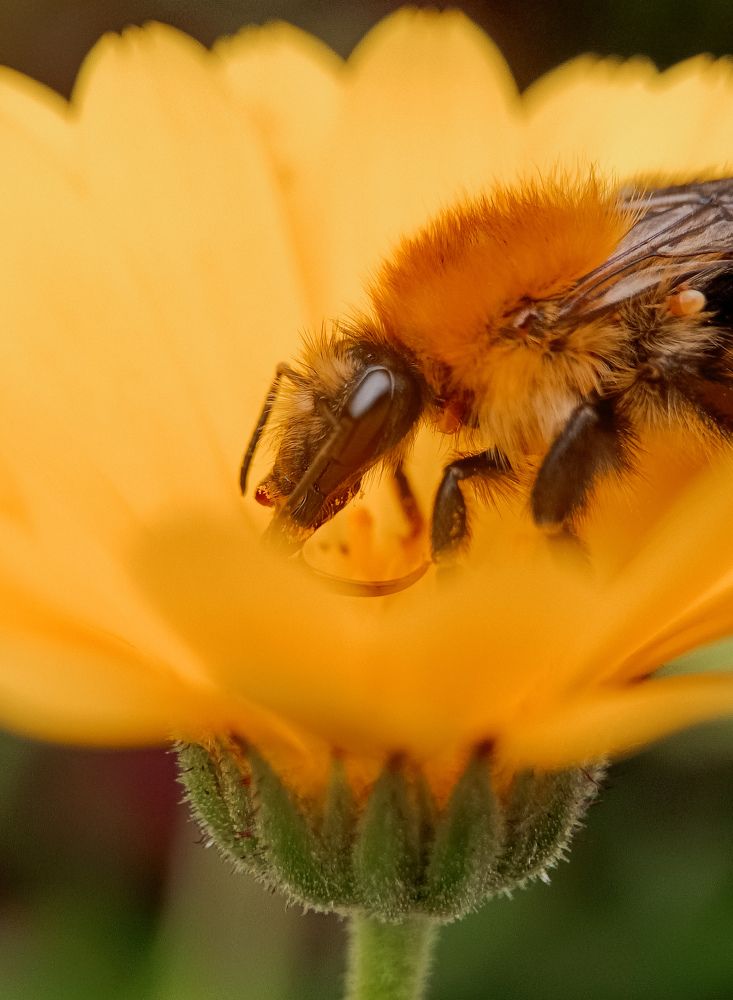 Фотография автора Ольга Кунакова