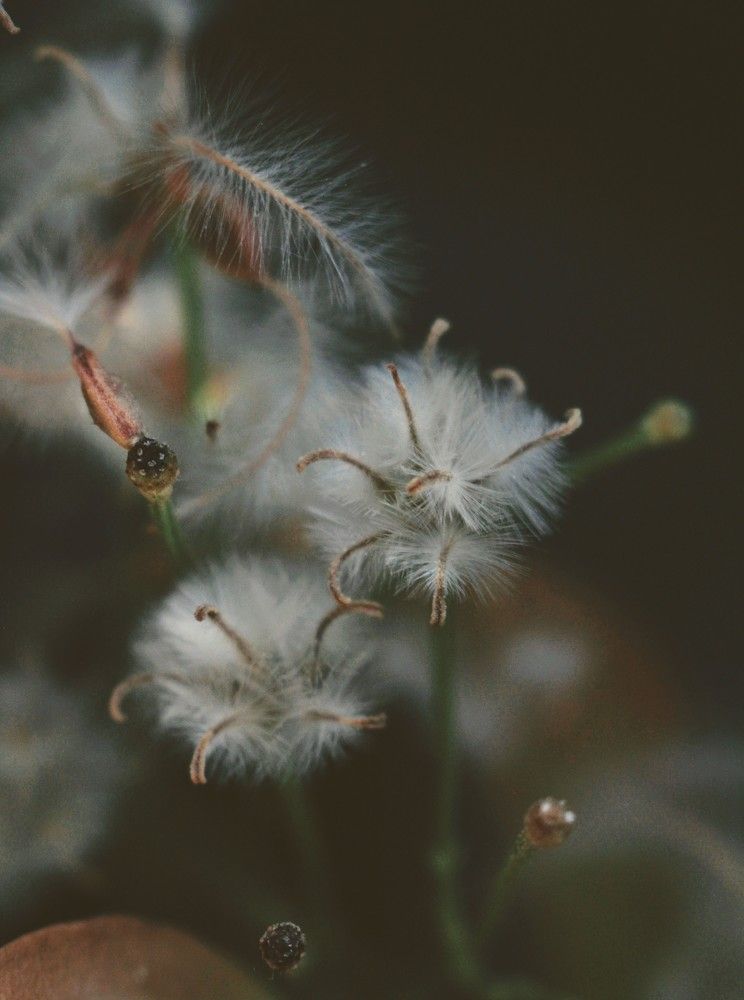 Photograph by AlexaL