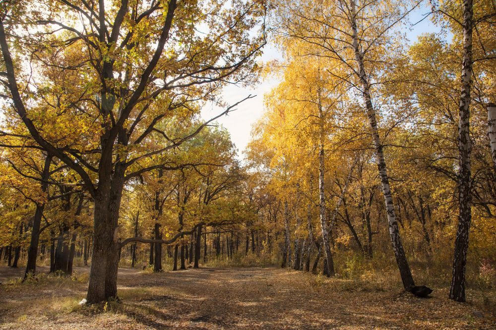 Photograph by Ольга