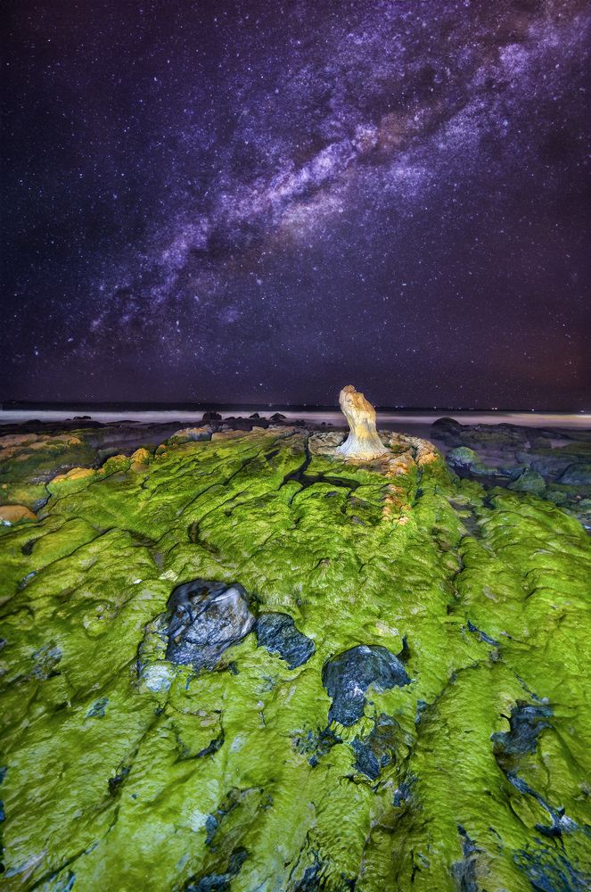 Photograph by Tran Khoa