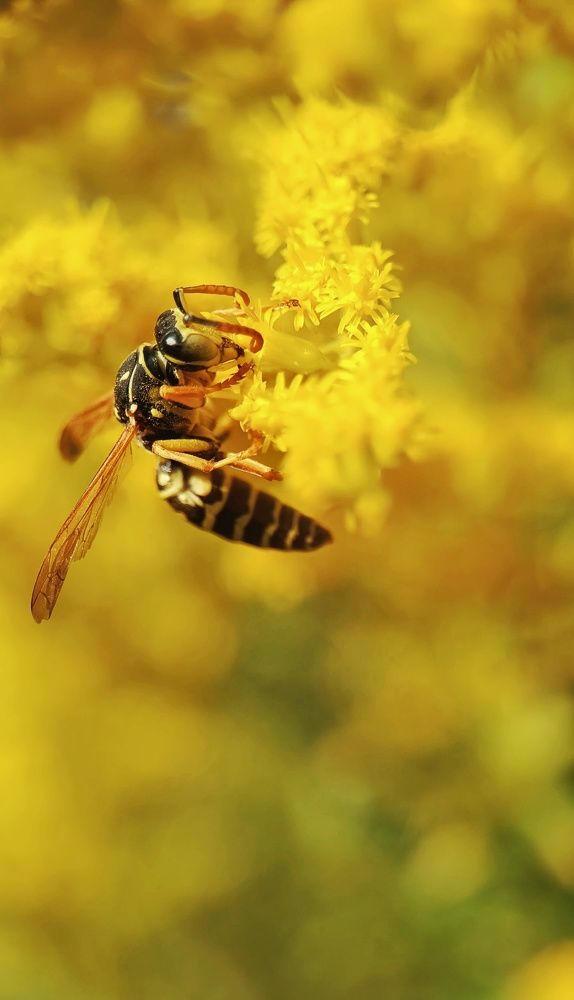 Фотография автора Ольга Кунакова