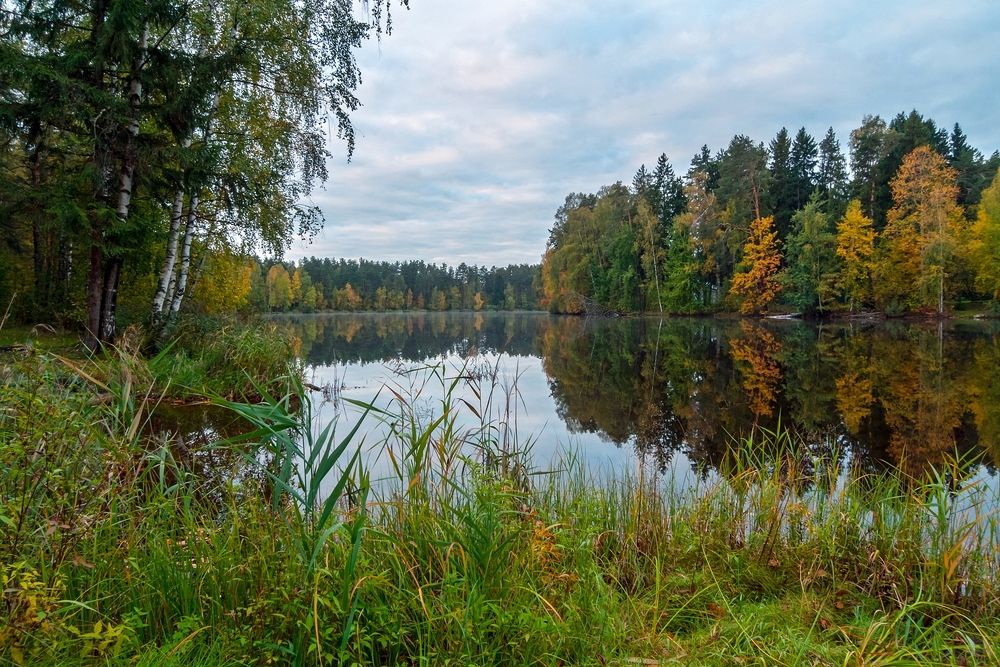 Photograph by Валерий Клейменов