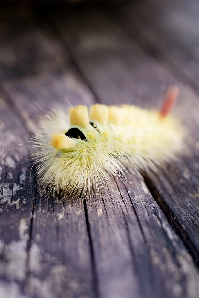 Photograph by Ольга Богданова