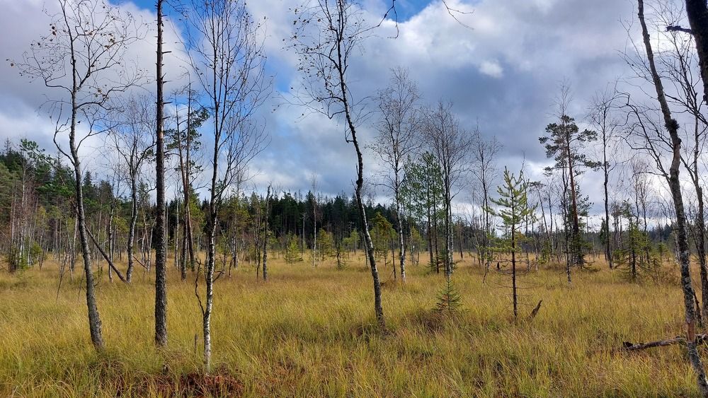 Фотография автора Максим Егоров