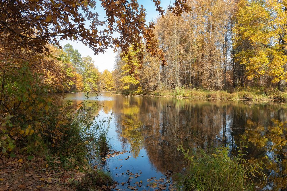 Photograph by Юлия Морозова