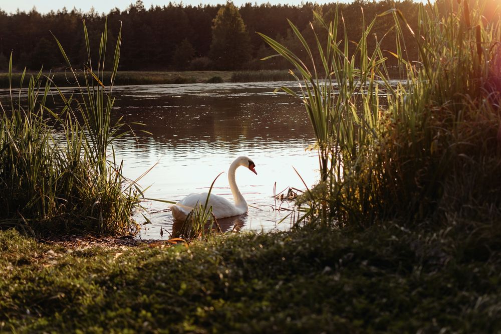 Photograph by Валерий Зенович