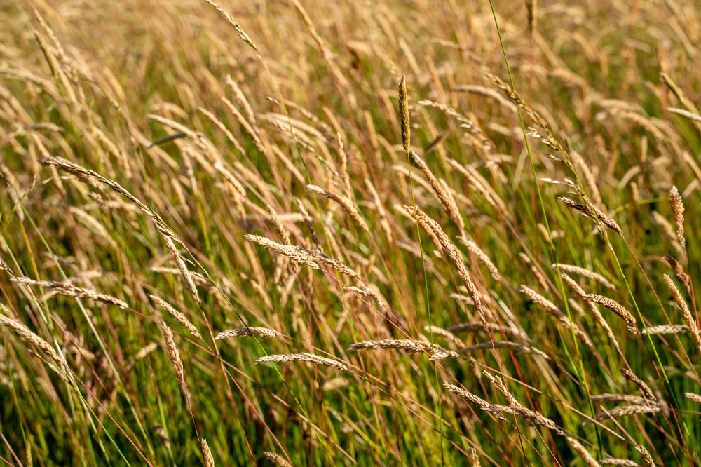 Фотография автора OVIDIU-IOAN TICU