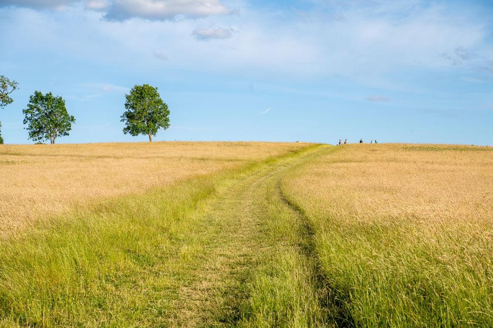 Фотография автора OVIDIU-IOAN TICU