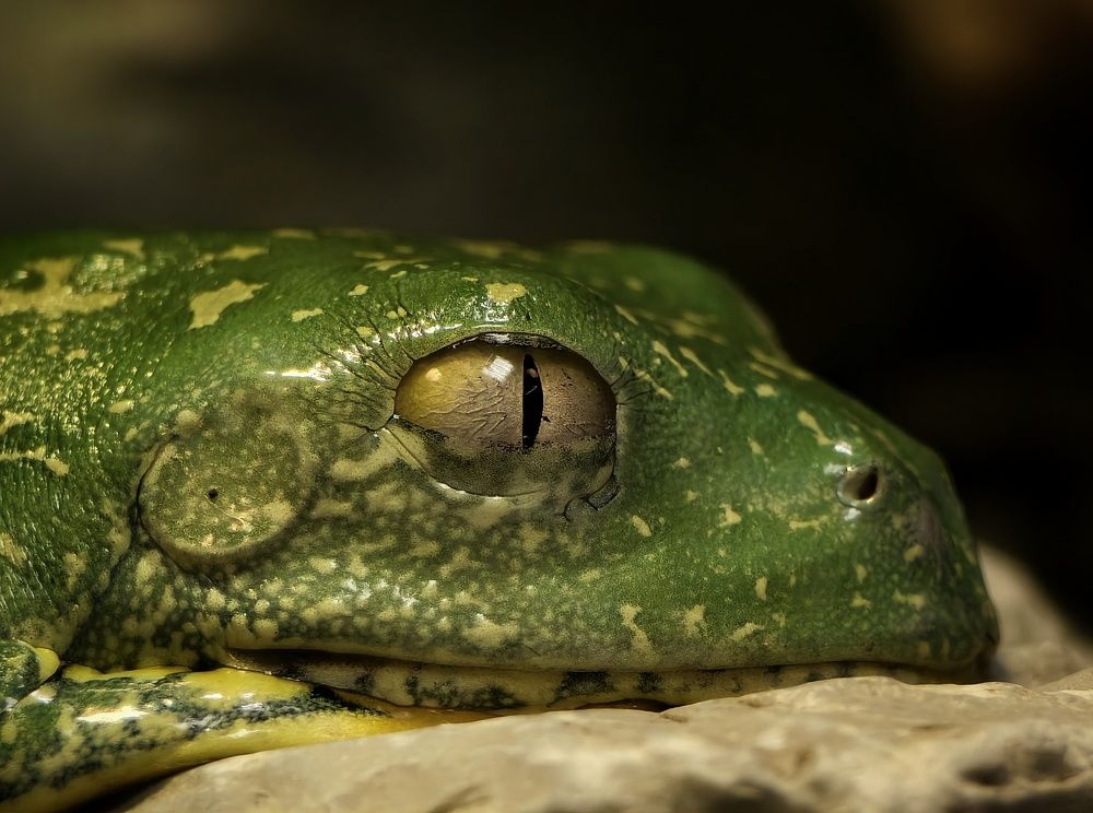 Photograph by Михаил Саидов