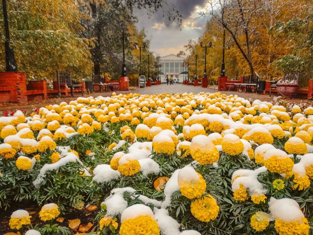 Photograph by Анжелика Трошина