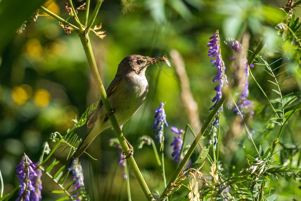 Photograph by Анатолий Чесноков