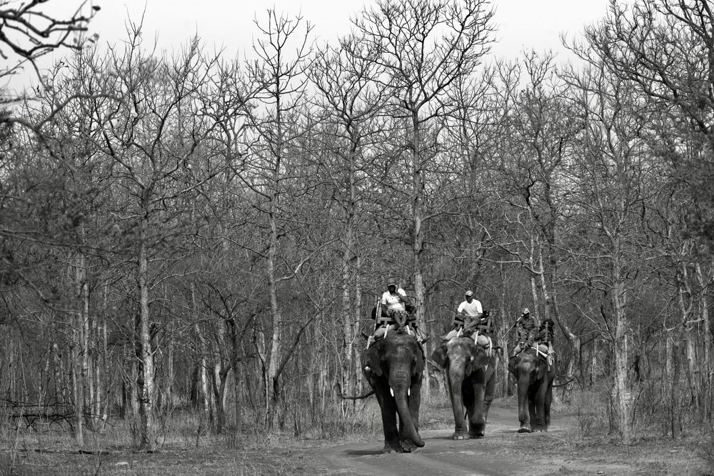 Фотография автора Aryaman Dhiman