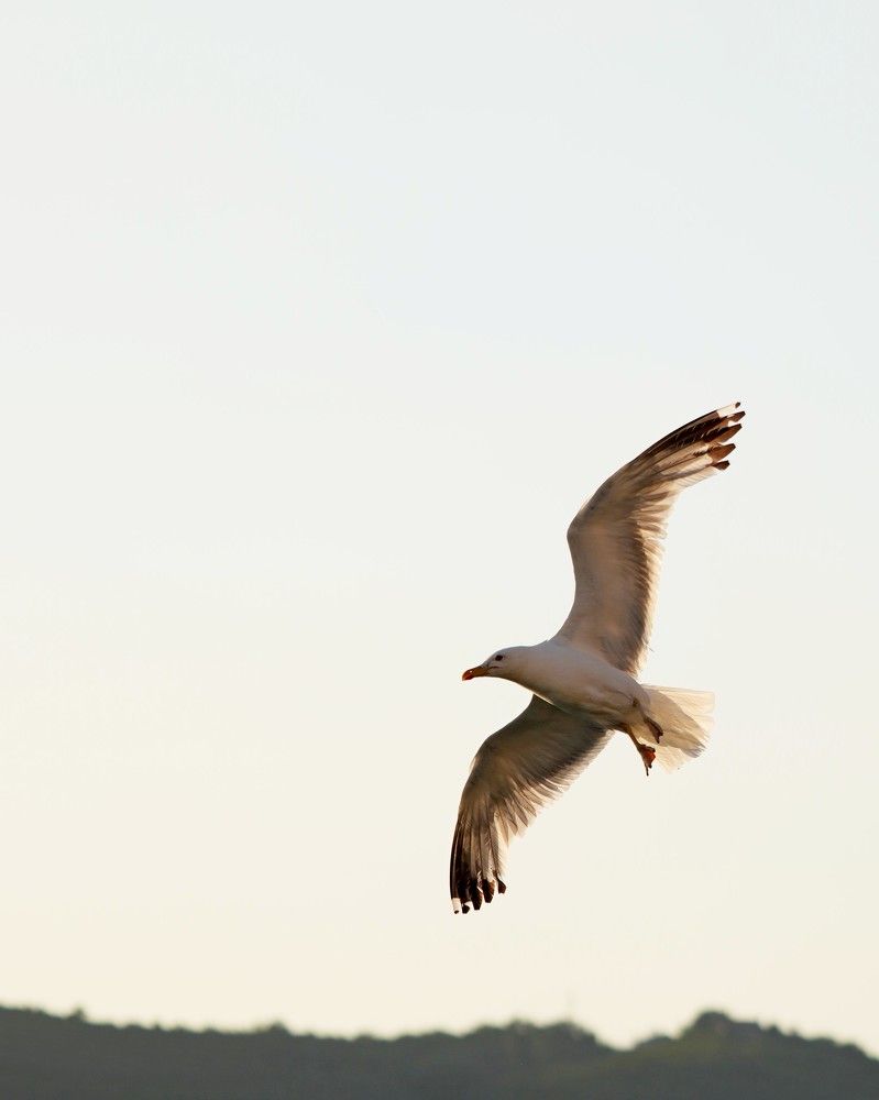 Фотография автора Nastasya Sablina