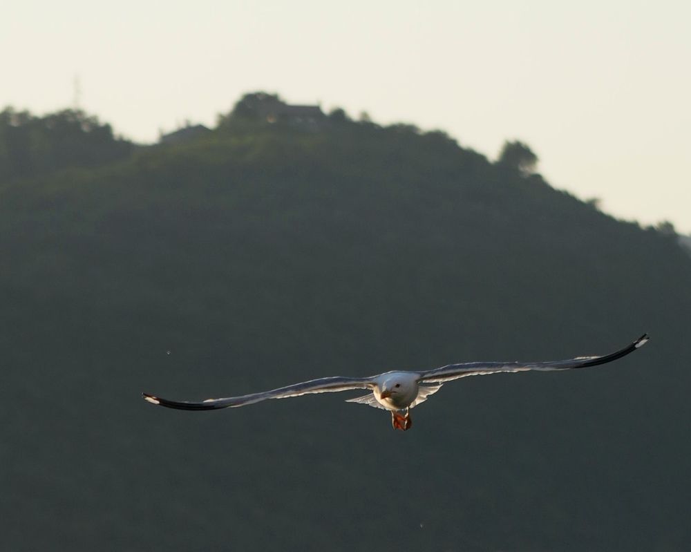 Фотография автора Nastasya Sablina