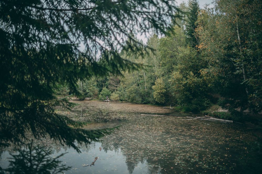 Photograph by Елена Копылова