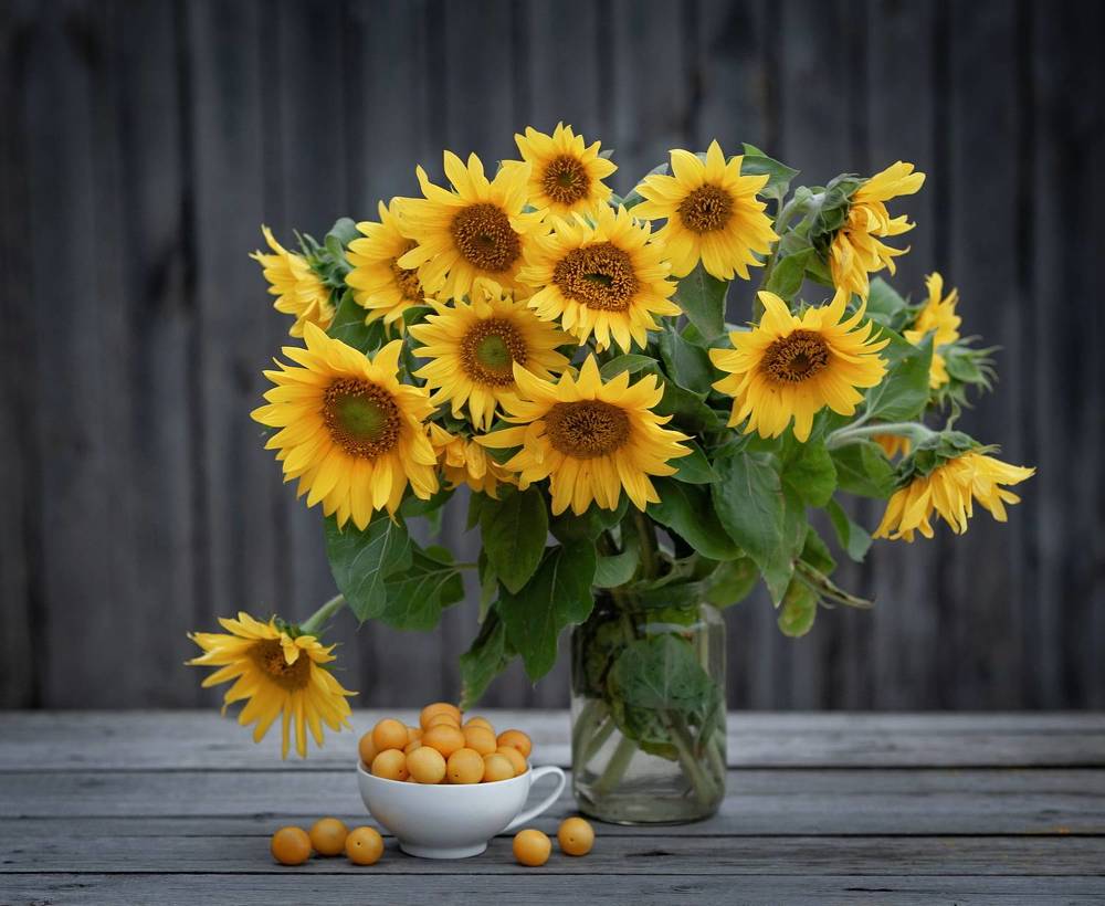 Photograph by Александр Гвоздь