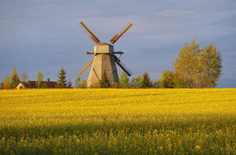 Photograph by Александр Гвоздь