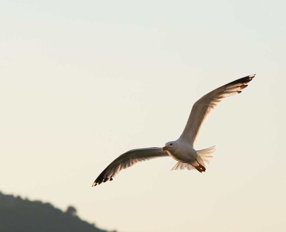 Фотография автора Nastasya Sablina