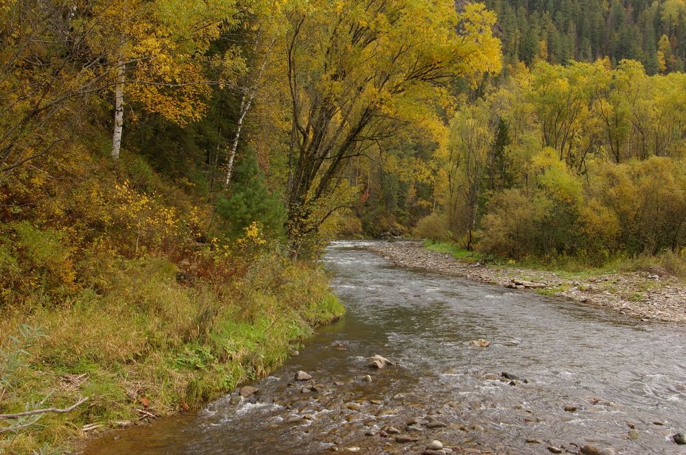 Photograph by Елена Алешкевич